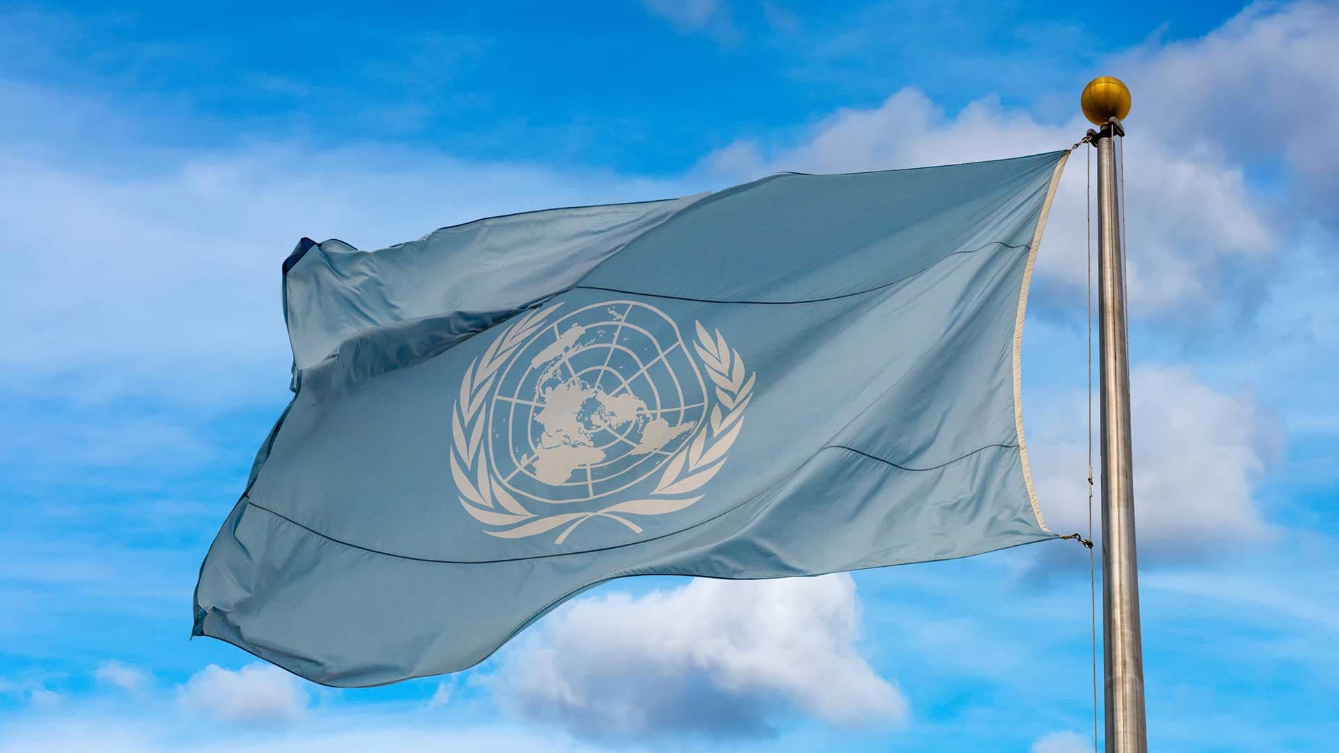 La mediazione inserita nel contesto diplomatico internazionale è il filo conduttore di questo indirizzo, orientato ad acquisire conoscenze e competenze di gestione nel complesso sistema di relazioni tra Stati, Organizzazioni internazionali e altri soggetti di diritto.